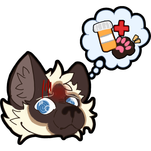 a chocolate point Siamese cat with blue eyes, they are looking to the side and have an uncomfortable expression, and red glowing on their forehead to show pain, above them is a thought bubble inside the bubble is a pill bottle a red medical plus sign and their paw reaching for the meds.